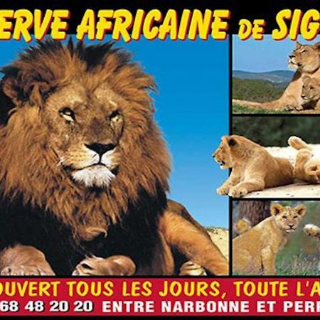 Agreable Maison De Famille Sur Gite Echarou Sigean Kültér fotó