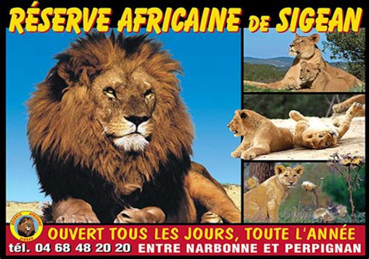 Agreable Maison De Famille Sur Gite Echarou Sigean Kültér fotó